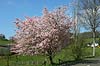 Bild 02 vergrern