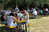 Bild 35 vergrern
