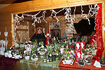Bild 58 vergrern