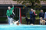 Bild 11 vergrern
