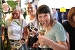 Bild 31 vergrern