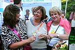 Bild 36 vergrern