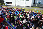 Bild 61 vergrern
