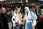 Bild 73 vergrern