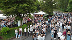 Bild 115 vergrern