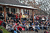 Bild 19 vergrern