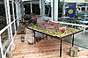 Bild 04 vergrern