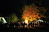 Bild 16 vergrern