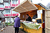 Bild 06 vergrern