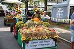 Bild 59 vergrern