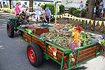 Bild 60 vergrern