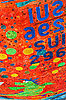 Bild 17 vergrern