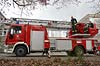 Bild 19 vergrern