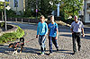 Bild 34 vergrern