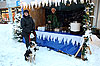Bild 74 vergrern