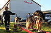 Bild 05 vergrern