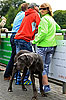 Bild 51 vergrern