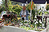 Bild 14 vergrern