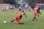 Bild 62 vergrern
