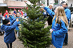Bild 06 vergrößern