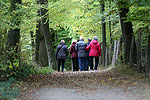 Bild 33 vergrern