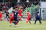 Bild 08 vergrern
