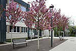 Bild 02 vergrern