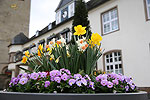 Bild 10 vergrern