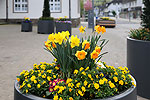 Bild 13 vergrern