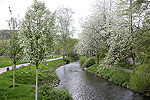 Bild 19 vergrern