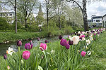 Bild 21 vergrern