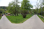 Bild 23 vergrern