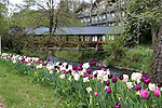 Bild 24 vergrern