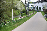 Bild 25 vergrern