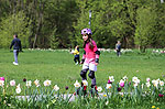 Bild 28 vergrern