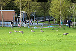 Bild 29 vergrern