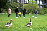 Bild 32 vergrern