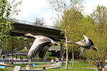 Bild 34 vergrern