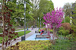 Bild 56 vergrern