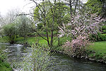 Bild 58 vergrern