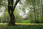 Bild 60 vergrern