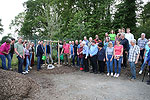 Bild 12 vergrern