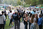 Bild 51 vergrern