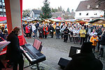 Bild 72 vergrern