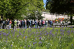 Bild 12 vergrern