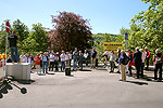 Bild 19 vergrern