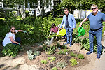 Bild 26 vergrern