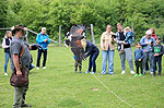 Bild 06 vergrern
