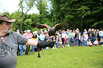 Bild 09 vergrern