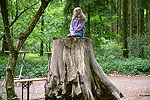 Bild 13 vergrern